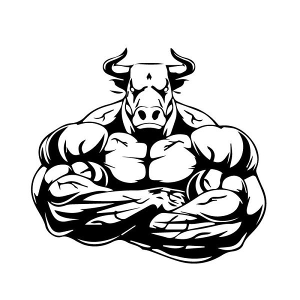 Качок рисунок