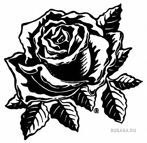 Картина черно-белая роза