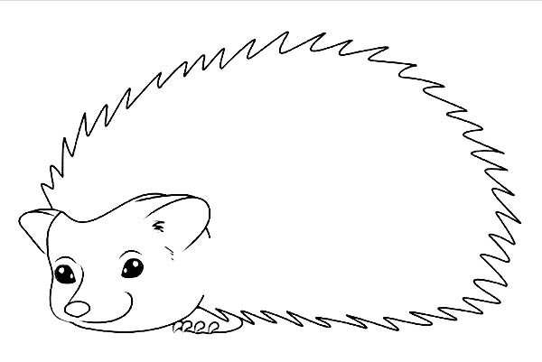 Мордочка ежика для аппликации