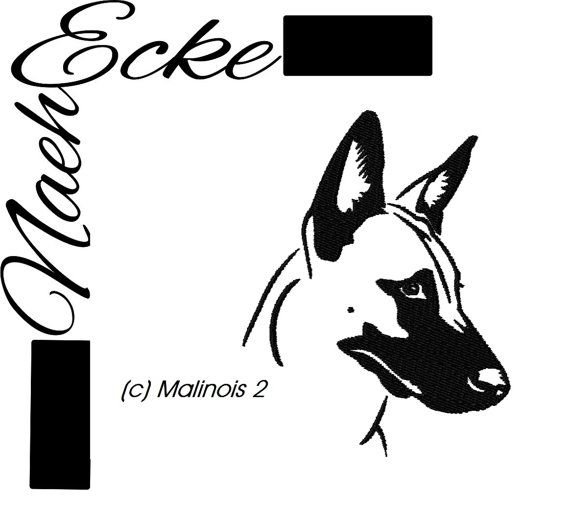 Овчарка малинуа арт