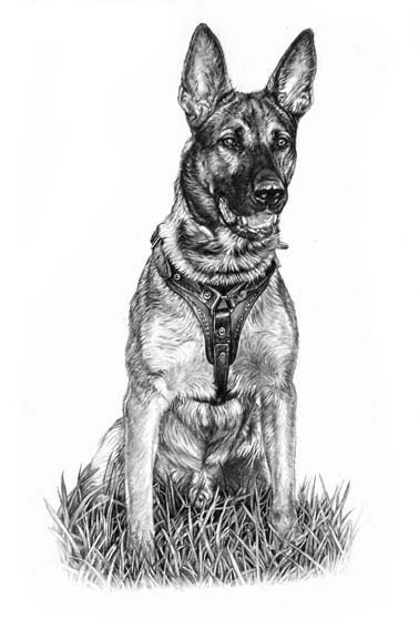 Тату малинуа