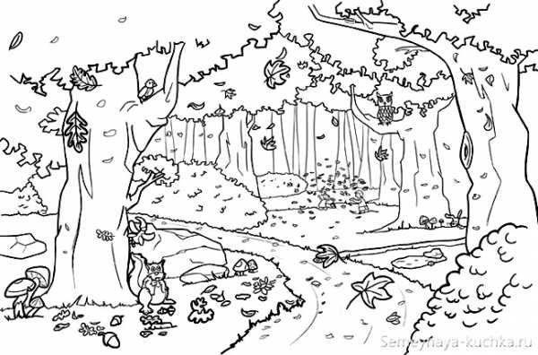 Раскраска осенний лес