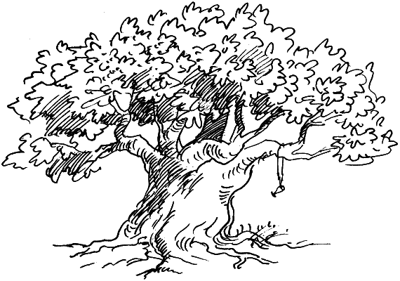 У Лукоморья дуб зеленый раскраска