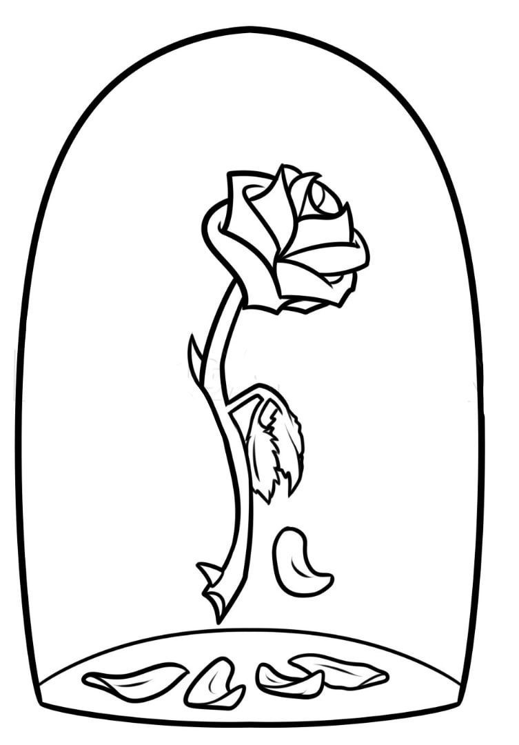 Красавица и чудовище роза карандашом