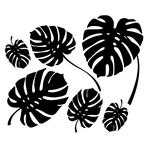 Monstera Leaf контур