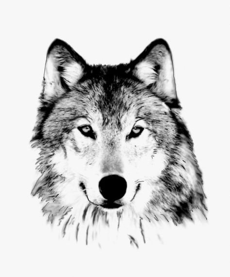 Черно белые тату Волков