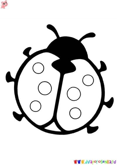 Раскраска насекомые Божья коровка
