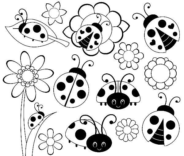 Рисунок божья коровка черно белый (44 фото)