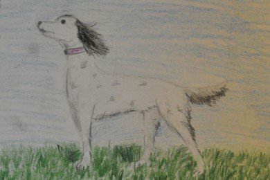 Белый Бим черное ухо