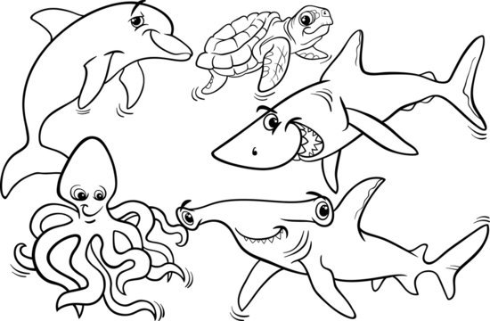 Раскраска акула и Дельфин