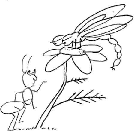 Раскраски к басне Крылова Стрекоза и муравей