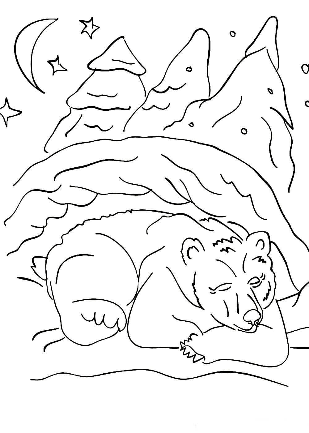 Медведь в берлоге раскраска для детей