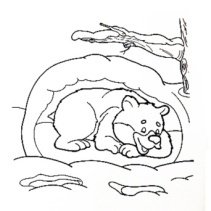Раскраска медведь спит в берлоге для детей