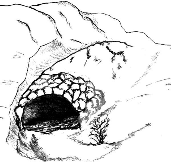 Медведь в берлоге раскраска для детей