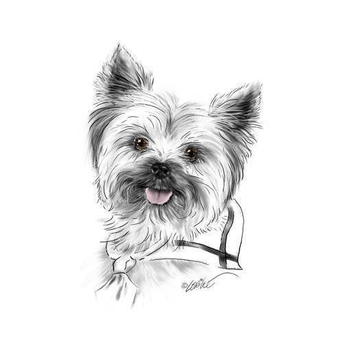 Тату Йорк эскиз