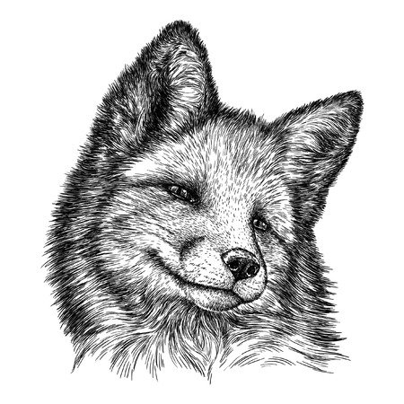 Лиса для лазерной гравировки