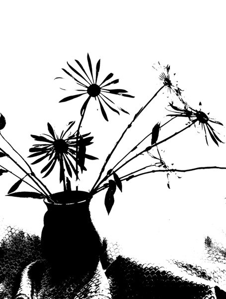 Силуэты растений тушью