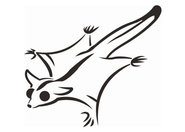 Летающая белка раскраска