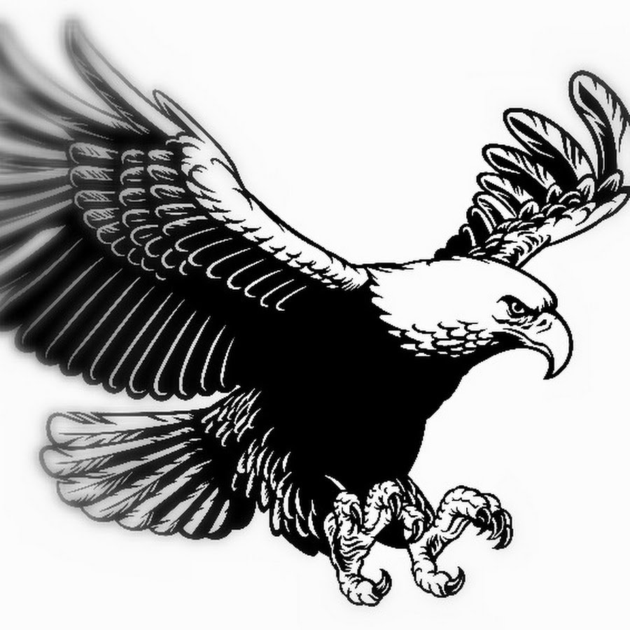 Эскиз орла с расправленными крыльями