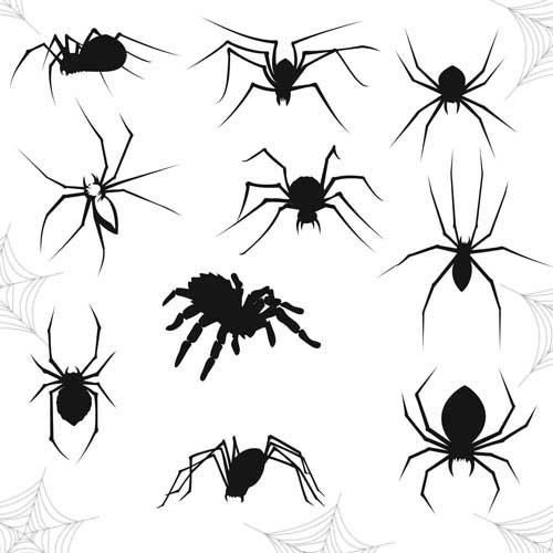 Паук эскиз тату Минимализм