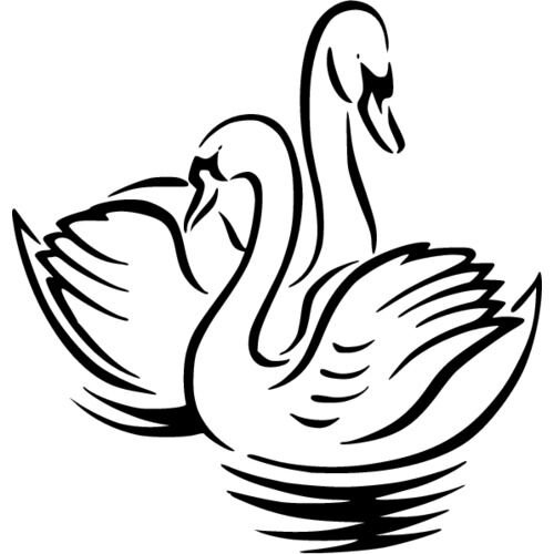 Лебедь контур