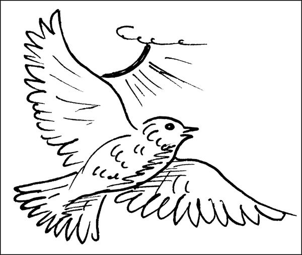 Скворец раскраска