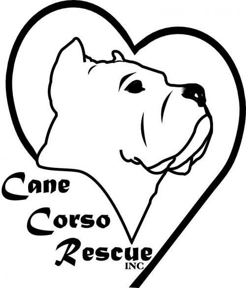 Раскраска собака rfytrfhcj