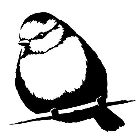 Синичка черно белая