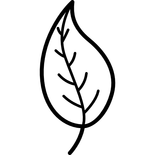 Лист березы раскраска