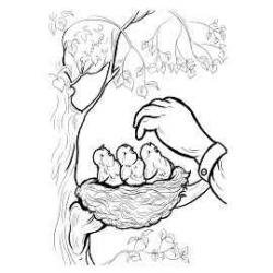 Росток в руках