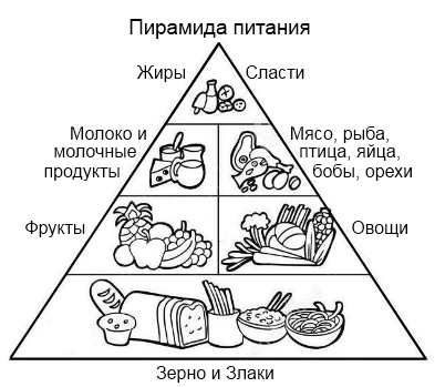 Пирамида питания пищевая пирамида черно белая
