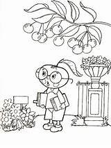 Джанни Родари приключения Чиполлино раскраска