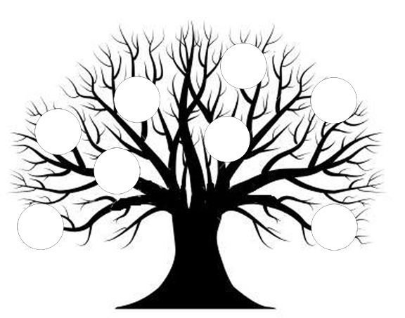 Генеалогическое дерево черно белое