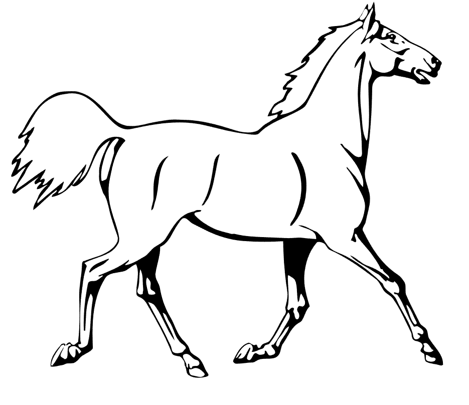 Раскраска. Лошади. Картинка лошадь раскраска. Лошадка раскраска для детей. Лошадь раскраска для детей.