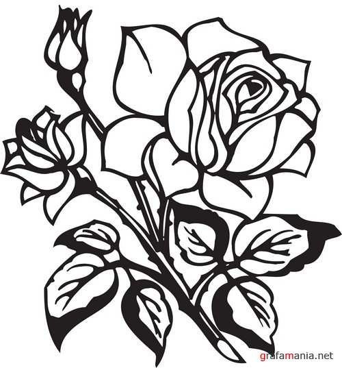 Цветок черный контур