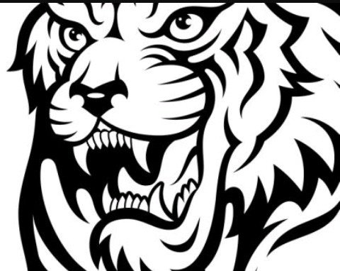 Тигр граффити чб