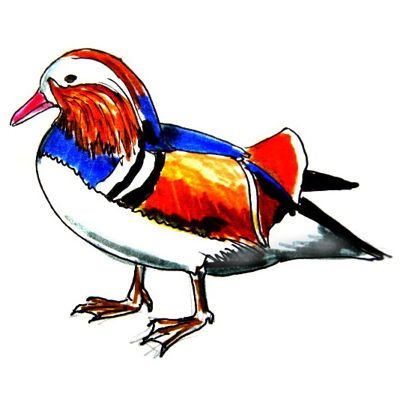 Рисунок утки мандаринки