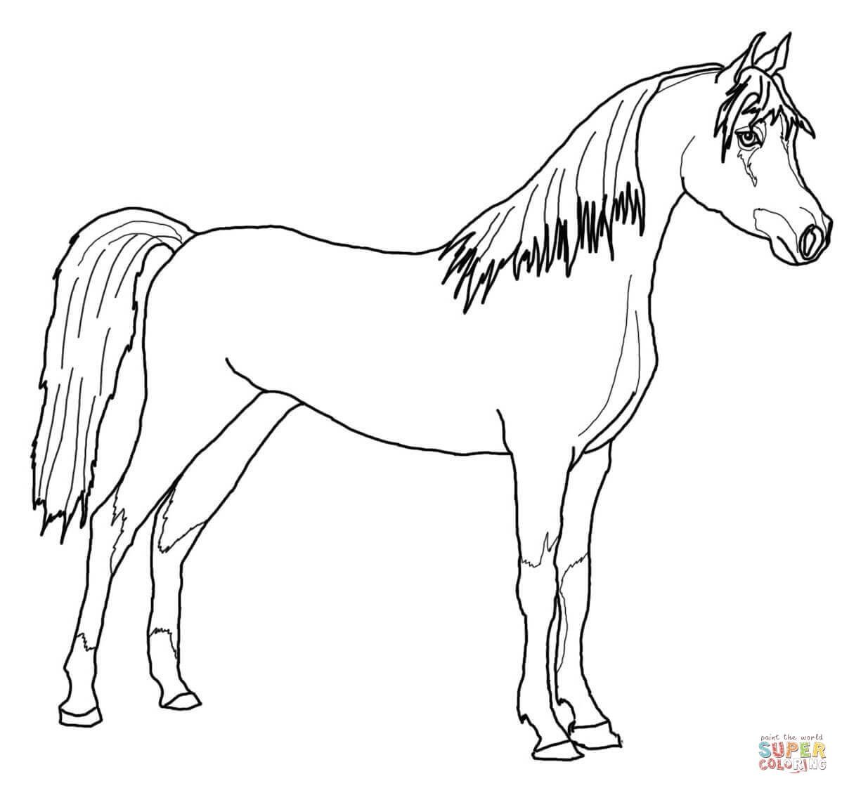Лошадка рисунок черно белый