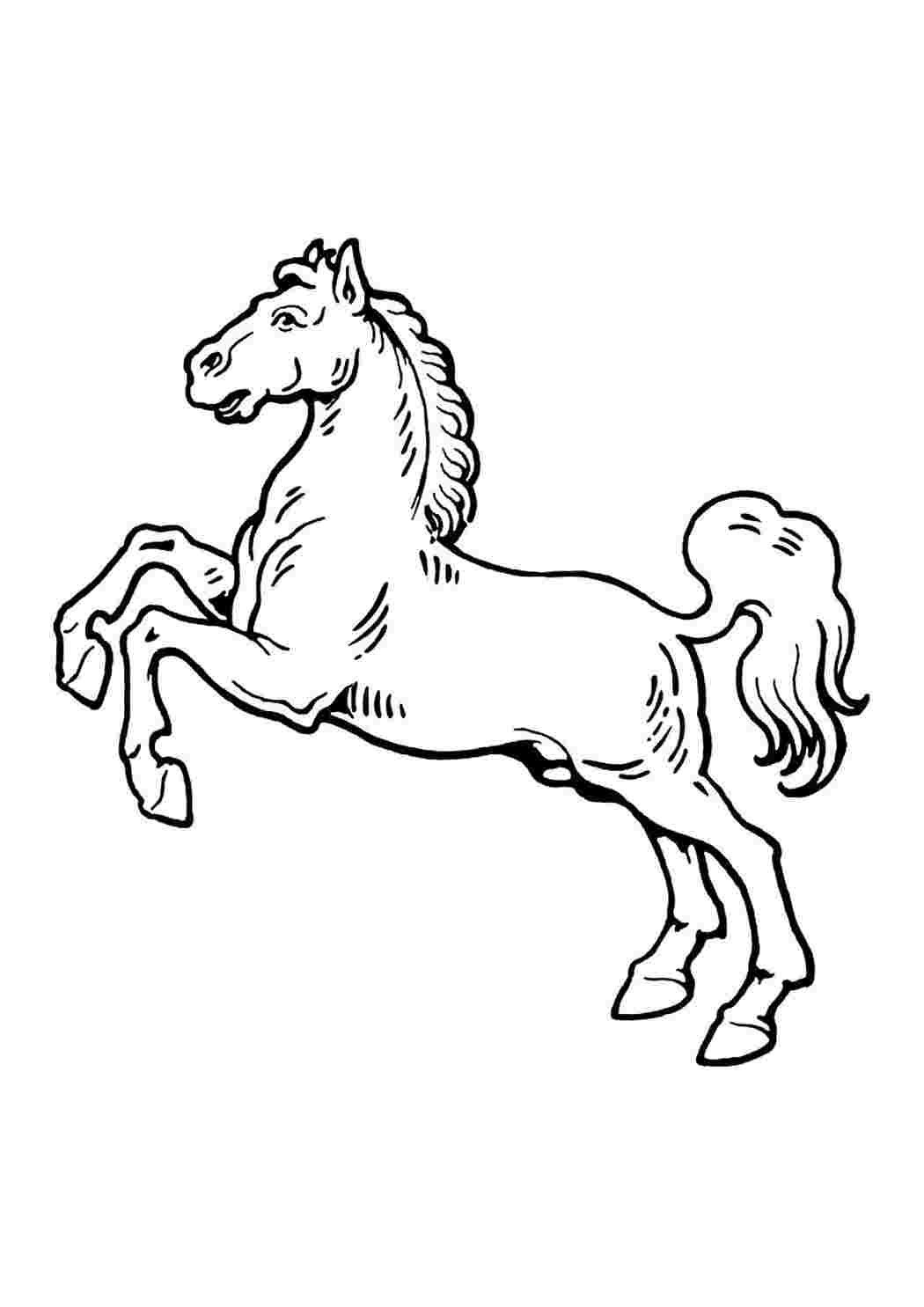 Лошадь черно белый рисунок