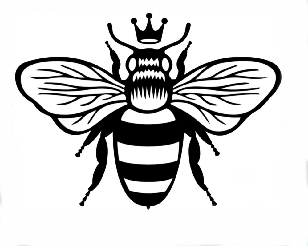 Муха черно белая. Queen Bee. Пчела рисунок. Пчела черно белая. Тату пчела эскиз.