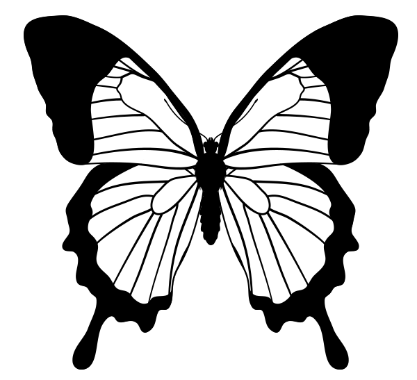 Бабочка эскиз
