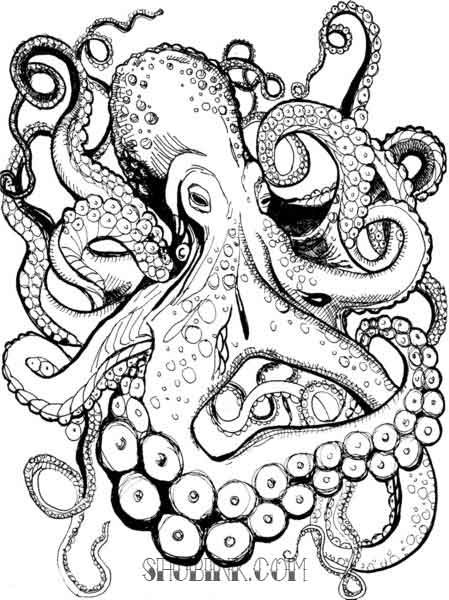 Осьминог тату эскиз