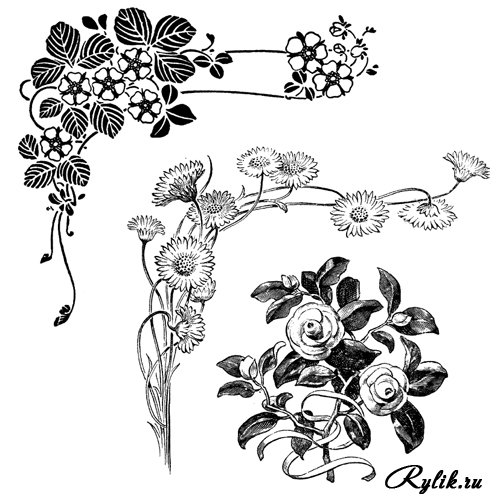 Цветы Прованс черно белые