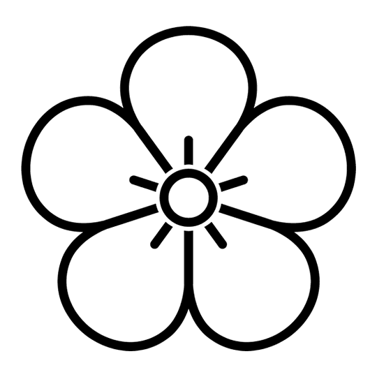 Раскраска цветок Ромашка