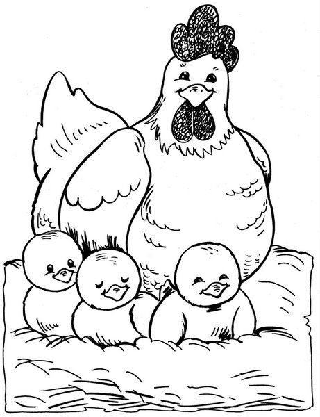 Курочка с цыплятами