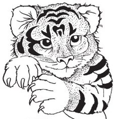 Тигр черно белый рисунок для детей (41 фото)