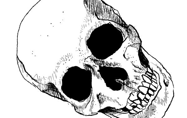 Черепная коробка арт, черно белый