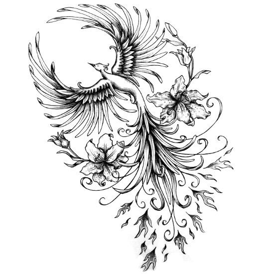 Птица Феникс эскиз
