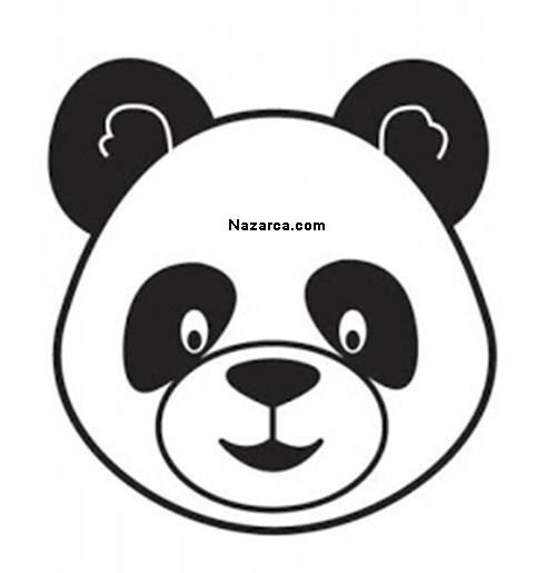 Контуры панды на прозрачном фоне