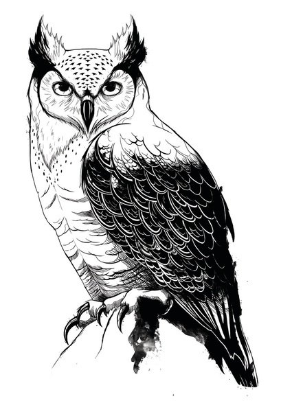 Сова Графика черно-белая